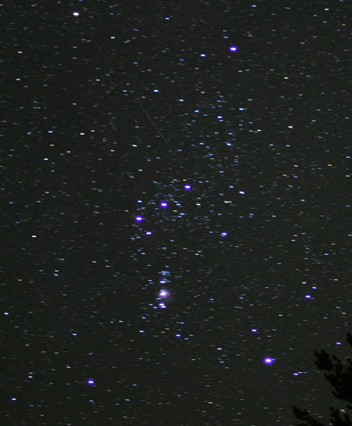 Sternbild Orion Sternschnuppe