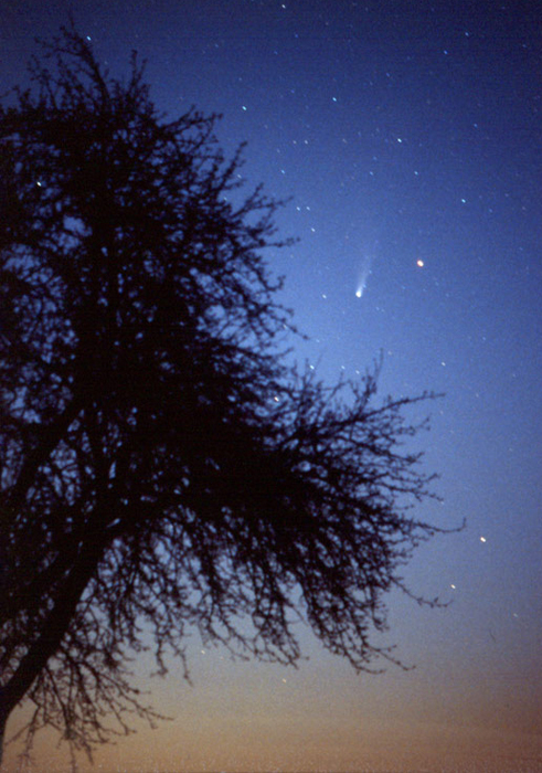 Komet Ikeya-Zhang