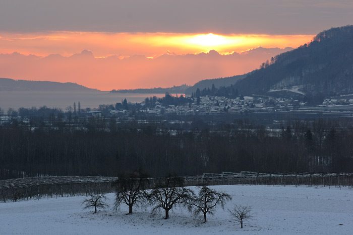 Sonnenaufgang Alpenkette Überlinger See Bodman von  Wahlwies
