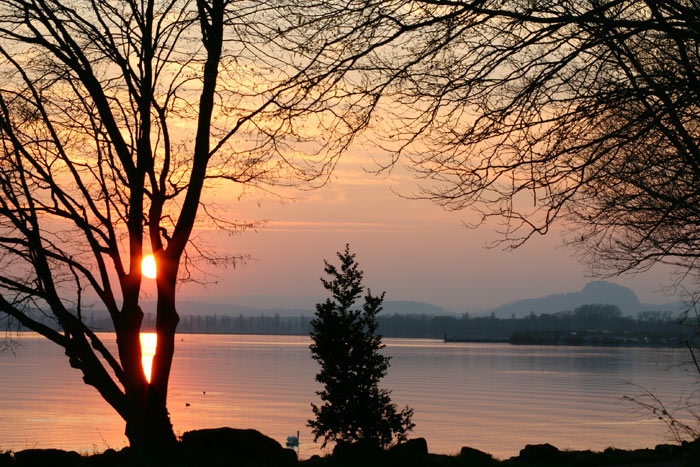 Sonnenuntergang Mettnau Radolfzell Bodensee Hohentwiel