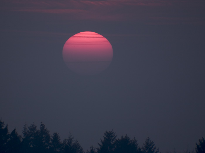 Sonnenuntergang Nebel Hegau