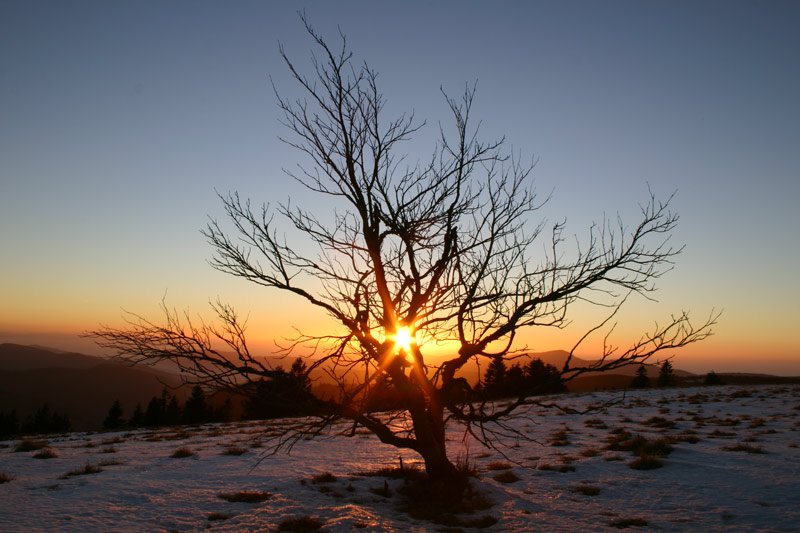 Sonnenuntergang Feldberg Belchen Schnee